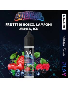 Valkiria-Play EMBERG 20ml aroma Shot Fruit